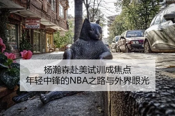 杨瀚森赴美试训成焦点 年轻中锋的NBA之路与外界眼光（leyu）